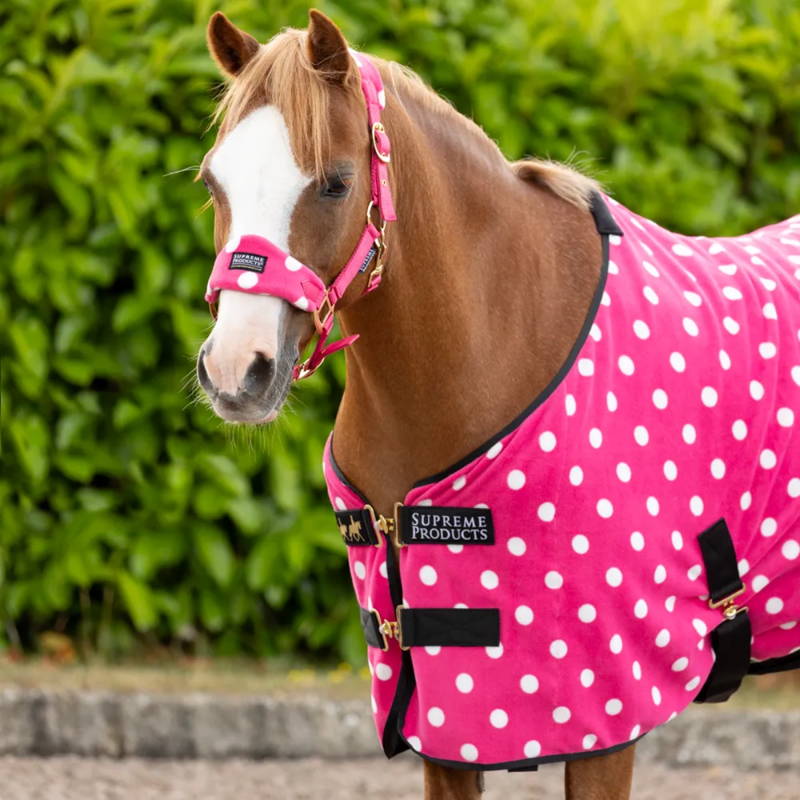 Supreme Products Dotty Fleece Rug -  Paradise Pink-1