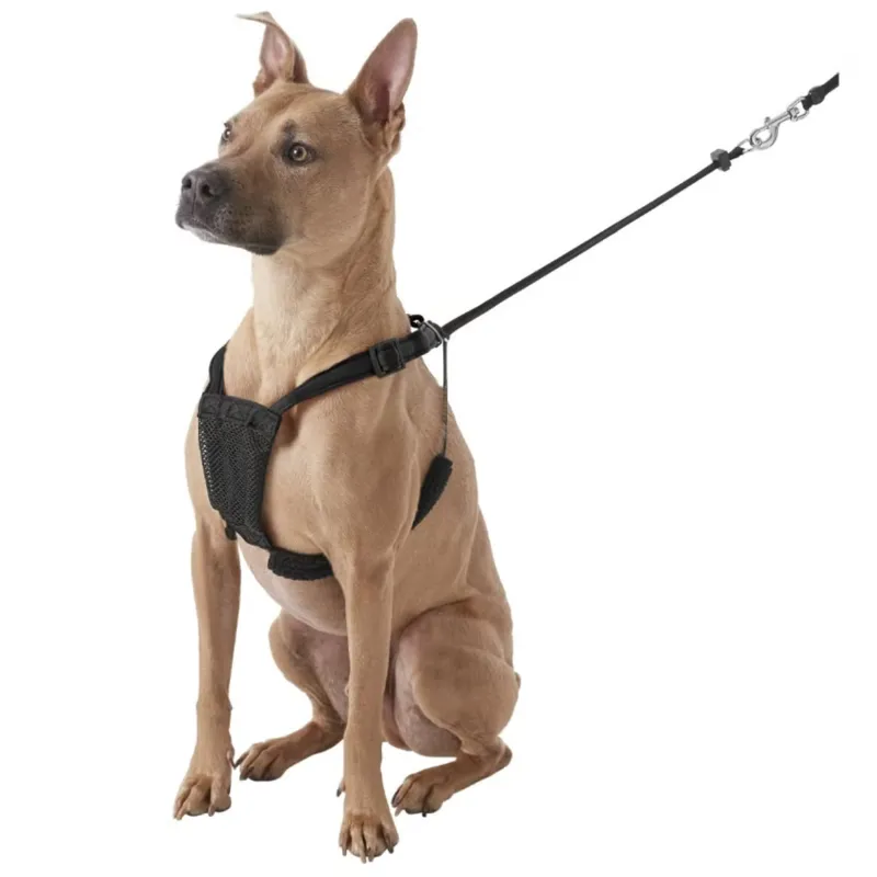 Company Of Animals Non-Pull Harness - Black-1