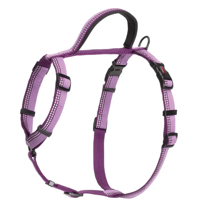 Halti Walking Harness - Purple