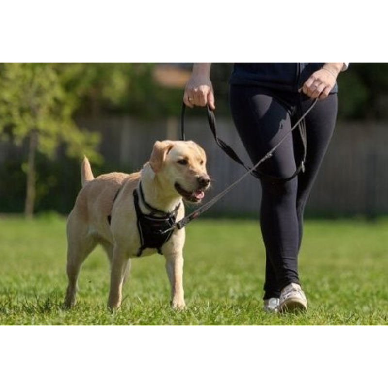Halti Training Lead - Black-1