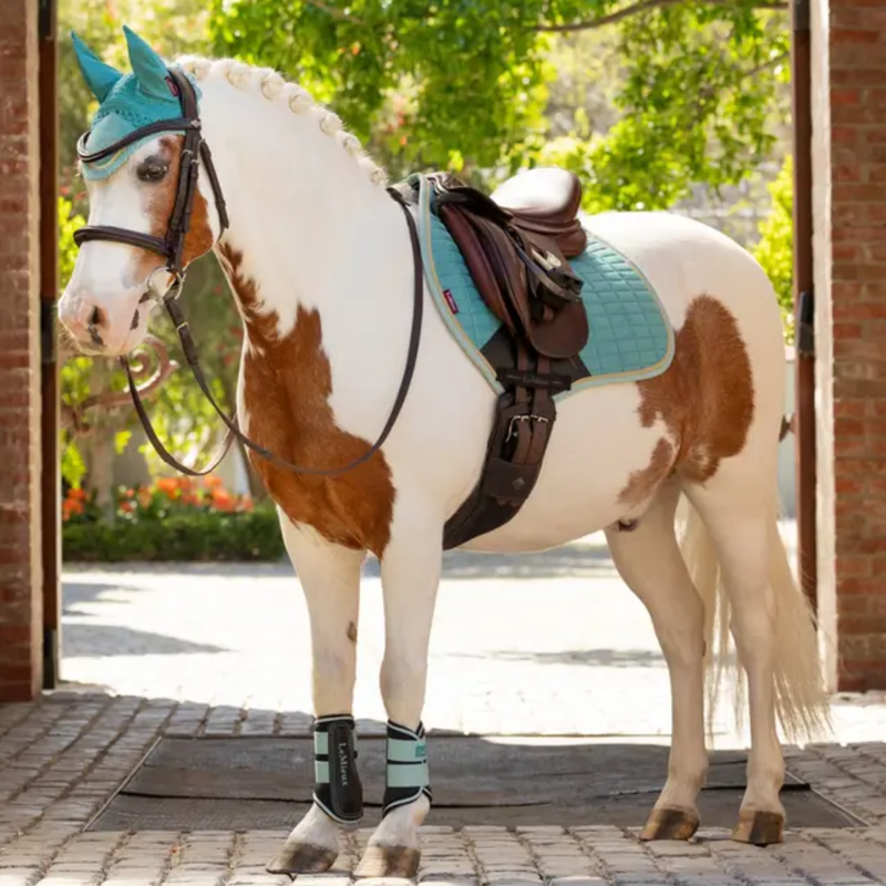 LeMieux Mini Brushing Boots - Aqua-3