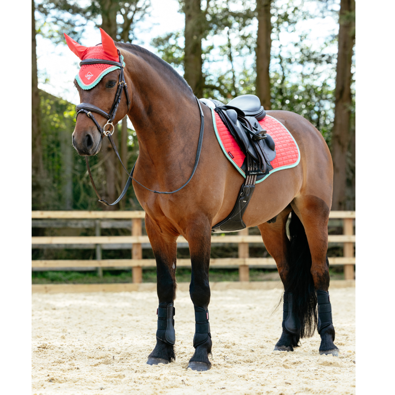 LeMieux Harlow Close Contact Square - Coral Crush-2