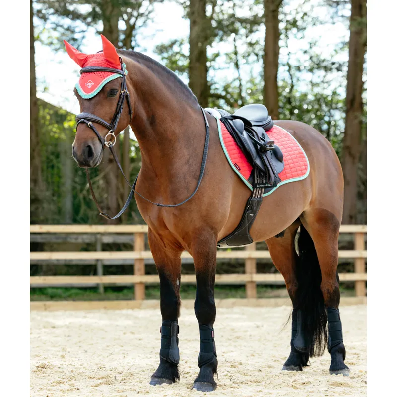 LeMieux Harlow Fly Hood - Coral Crush-1