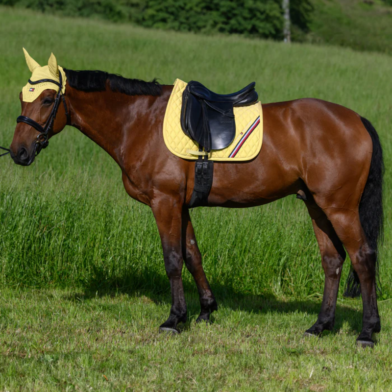 Tommy Hilfiger Stanford Dressage Saddlepad - Citron Ella-4