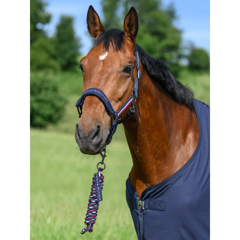 Tommy Hilfiger Lincoln Halter - Desert Sky-5