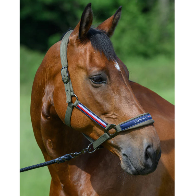 Tommy Hilfiger Lincoln Halter - Utility Olive-4