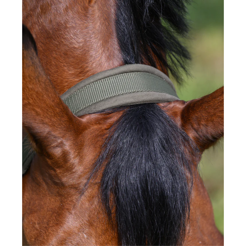 Tommy Hilfiger Lincoln Halter - Utility Olive-6