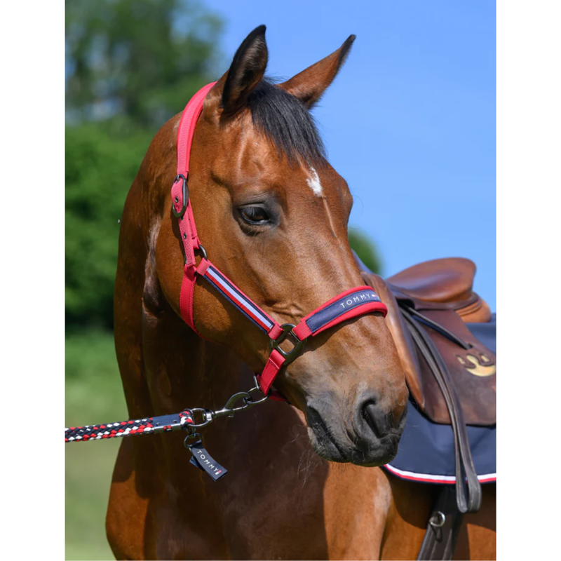 Tommy Hilfiger Lincoln Halter - Primary Red-4