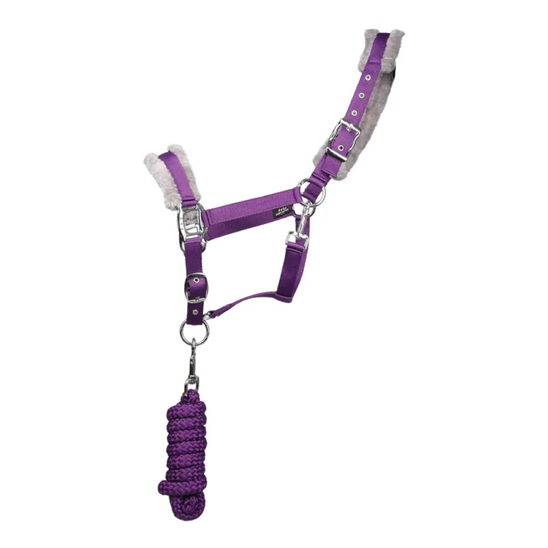 Hy Sport Active Head Collar And Lead Rope - Royal Violet