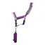 Hy Sport Active Head Collar And Lead Rope - Royal Violet