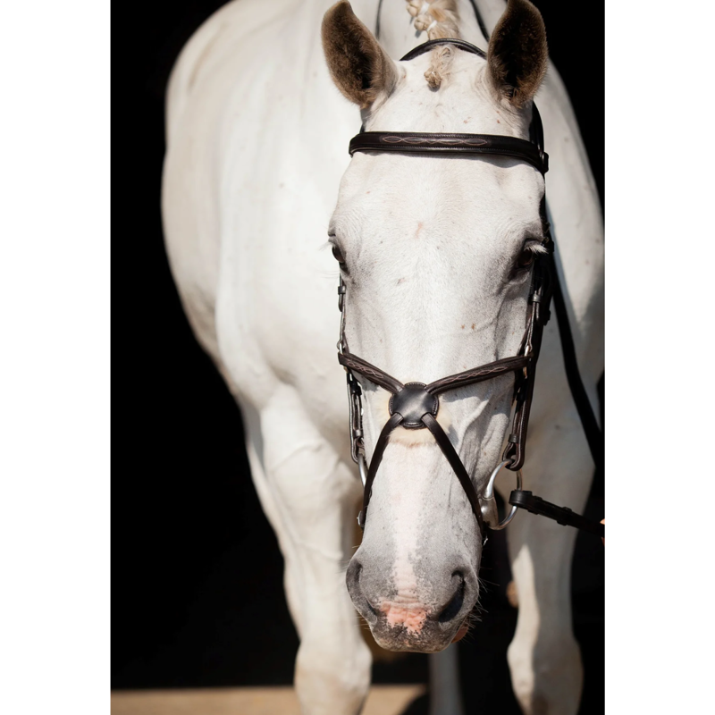 EcoRider Ultra Comfort Galway V2 Bridle - Brown-2