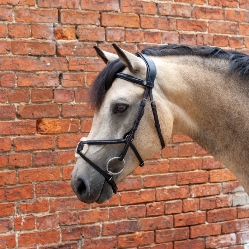 EcoRider Ultra Comfort Galway V2 Bridle - Brown-3