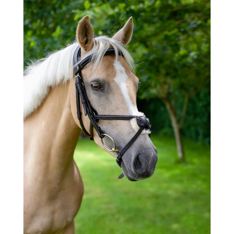 EcoRider Ultra Comfort Galway V2 Bridle - Brown-4