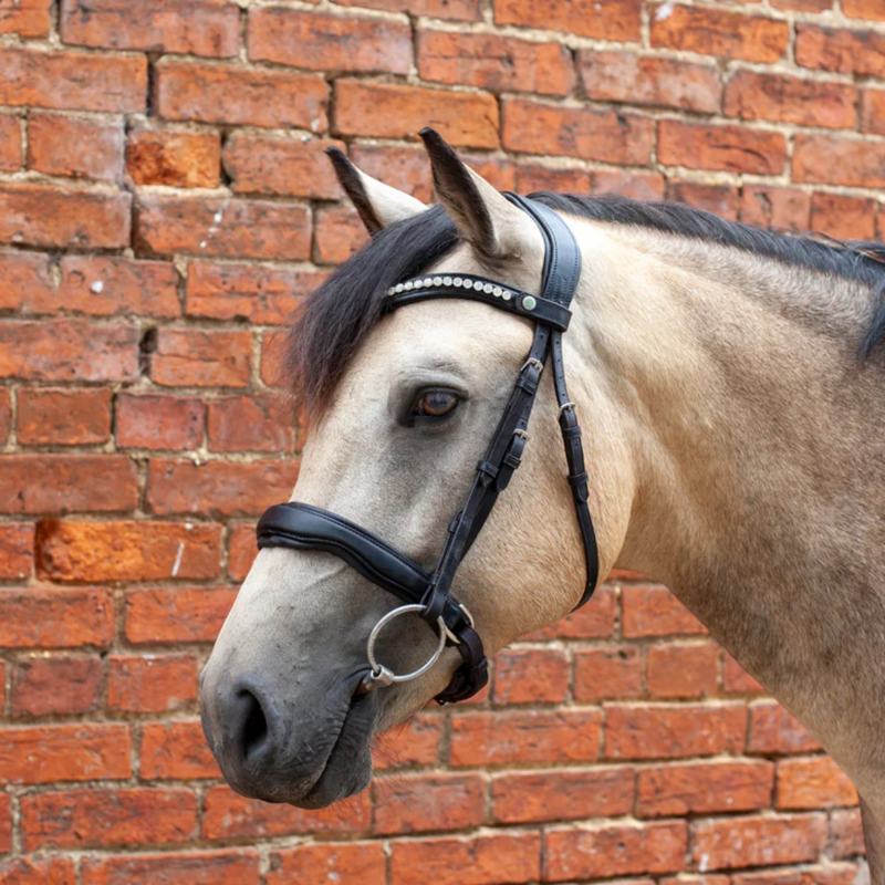 EcoRider Ultra Comfort Navan V2 Bridle - Black-5