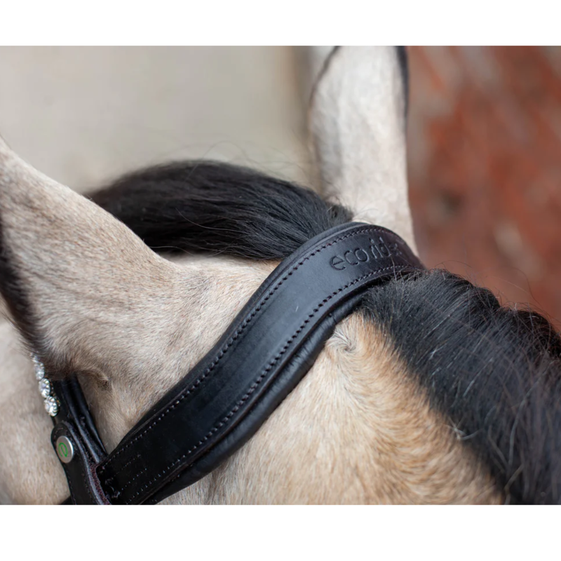 EcoRider Ultra Comfort Navan V2 Bridle - Black-4