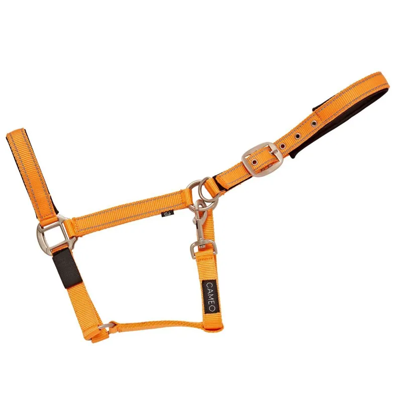 Cameo Fieldsafe Headcollar - Orange/Reflective