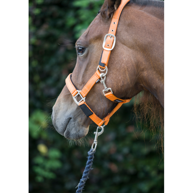 Cameo Fieldsafe Headcollar - Orange/Reflective-1