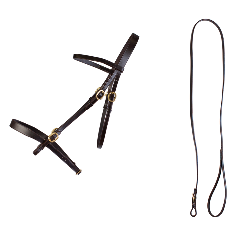 Cameo In Hand Bridle And Lead - Brown-1