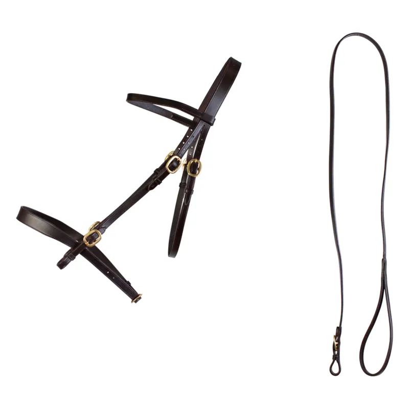 Cameo In Hand Bridle And Lead - Black-1