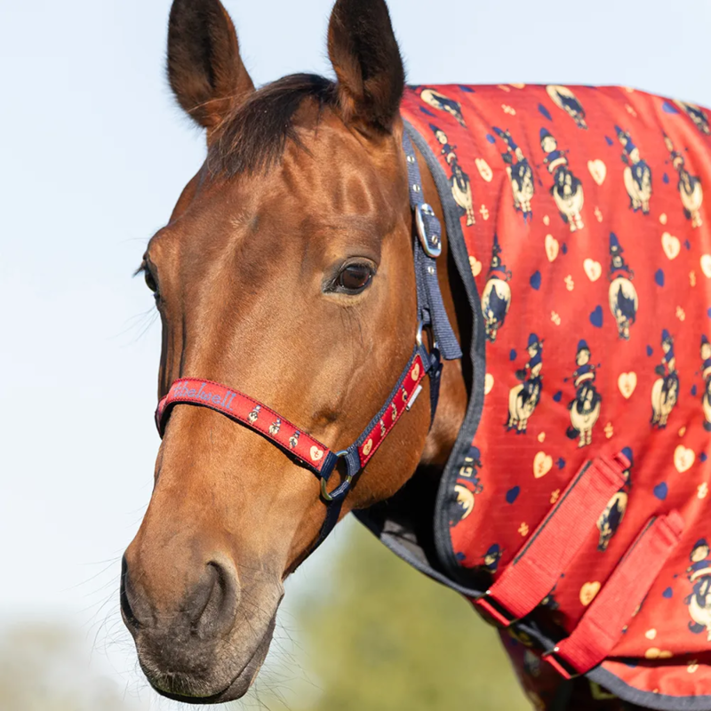 Hy Equestrian Thelwell Collection Balancing Act Headcollar And Leadrope - Red/Navy-3