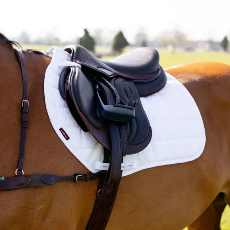 LeMieux 3D Mesh Self-Cool Eurojump Square - White-1