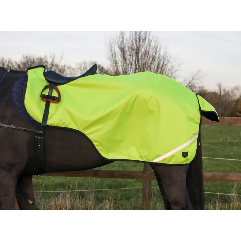 Cameo Wrap Around Exercise Sheet - Yellow