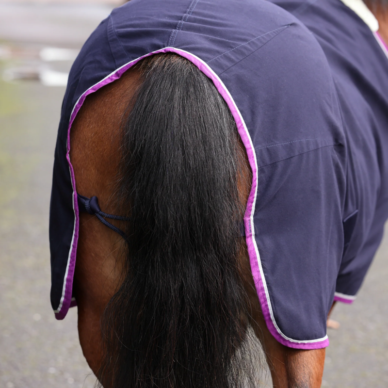 Shires Winnie And Me Stable Sheet - Navy-4