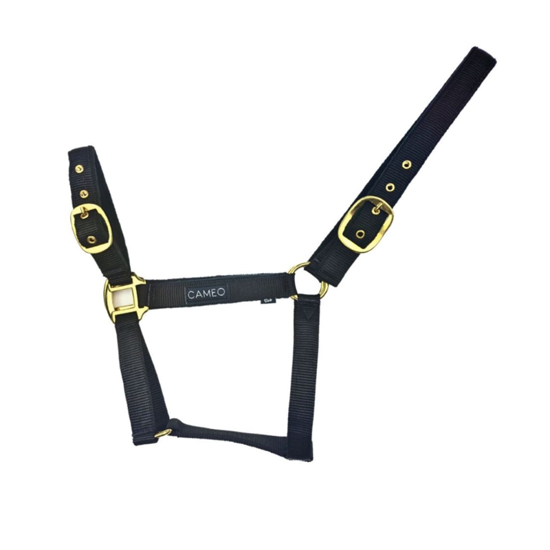 Cameo Suede Padded Headcollar - Black