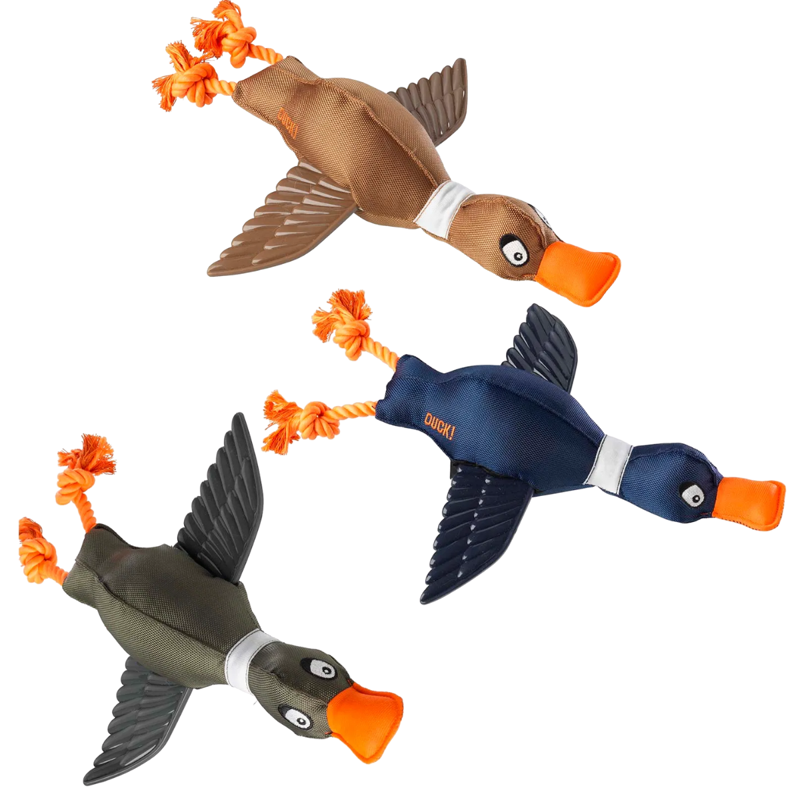House of Paws Duck Thrower with Wings