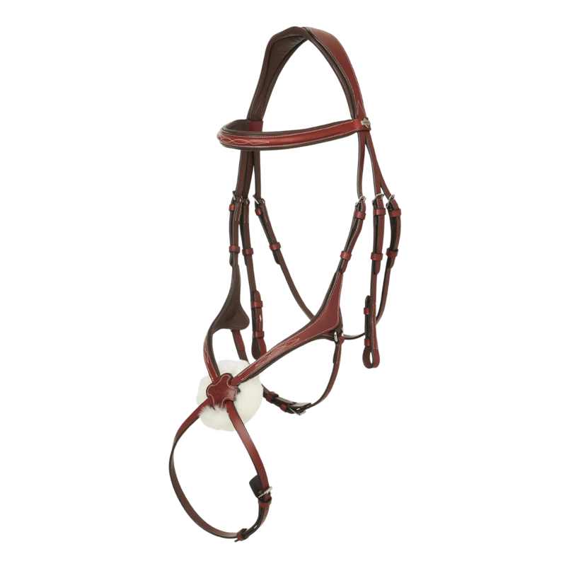 LeMieux Kudos Grackle Bridle - Chestnut