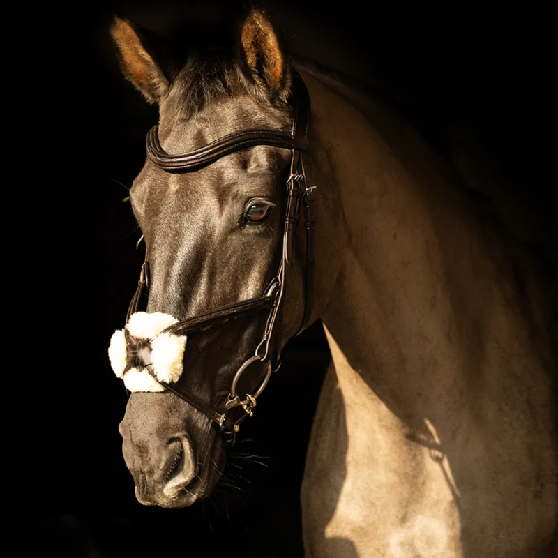ProPresicce Pelle Grackle Leather Bridle by Hy Equestrian - Brown/Brass Hardware-1