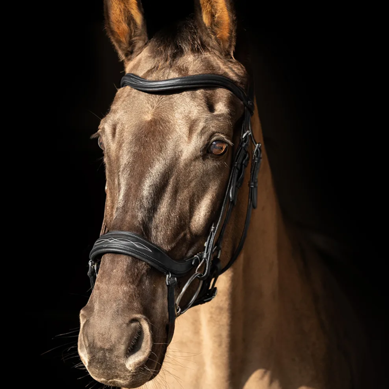 ProPresicce Pelle Drop Leather Bridle by Hy Equestrian - Black/Silver Hardware