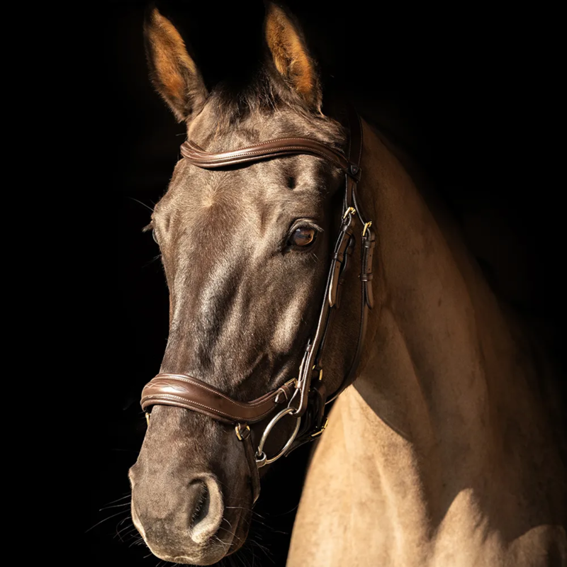 ProPresicce Pelle Drop Leather Bridle by Hy Equestrian - Brown/Brass Hardware