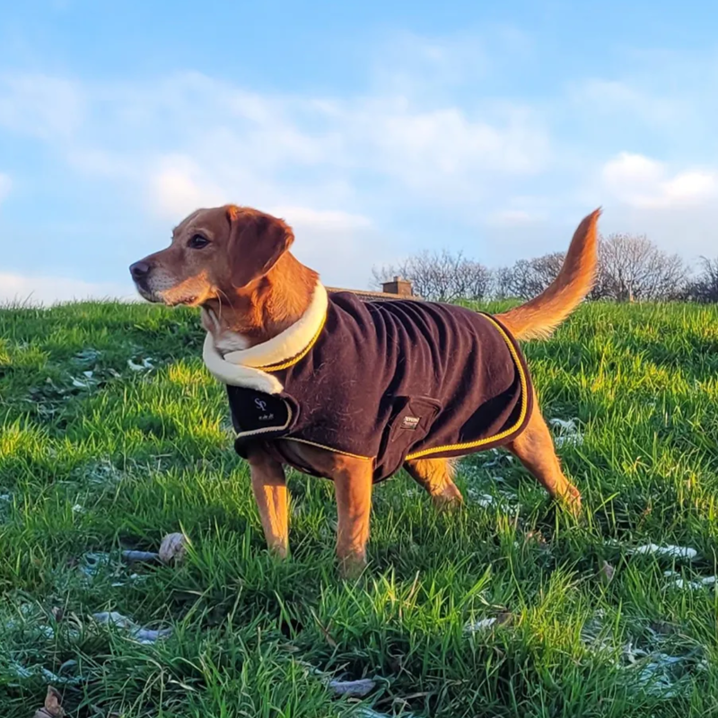 Supreme Products Royal Occasion Fleece Dog Coat - Black