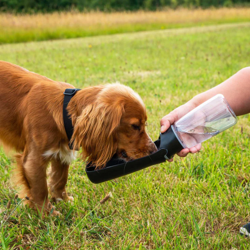 Mountain Paws Folding Dog Water Bottle-3