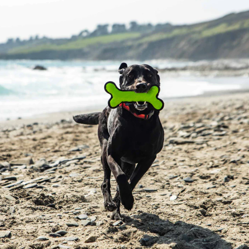 Mountain Paws Rubber Bone Dog Toy - Green-1