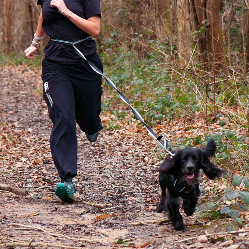 Mountain Paws Shock Absorber Dog Lead - Black-5