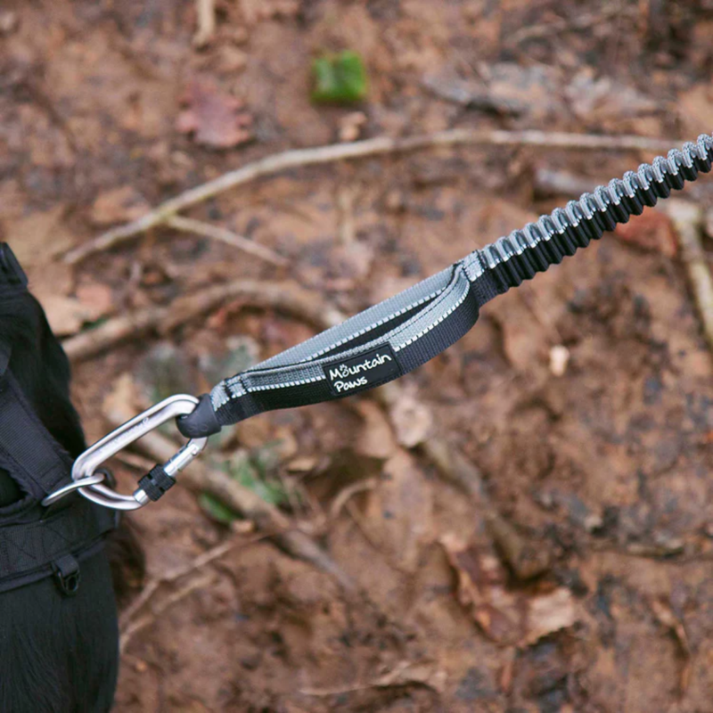 Mountain Paws Shock Absorber Dog Lead - Black-3