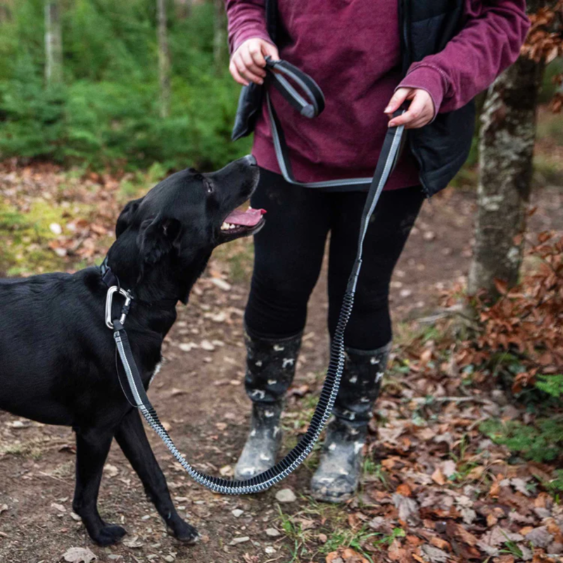 Mountain Paws Shock Absorber Dog Lead - Black-4