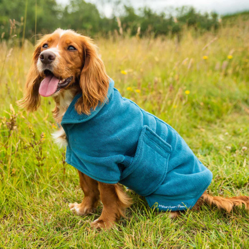 Mountain Paws Dog Robe - Blue-5