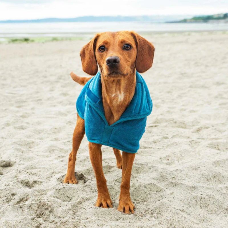 Mountain Paws Dog Robe - Blue-6