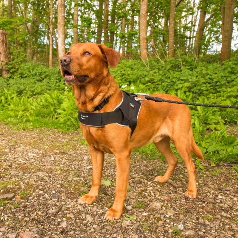 Mountain Paws Extra Tough Dog Harness - Black-4