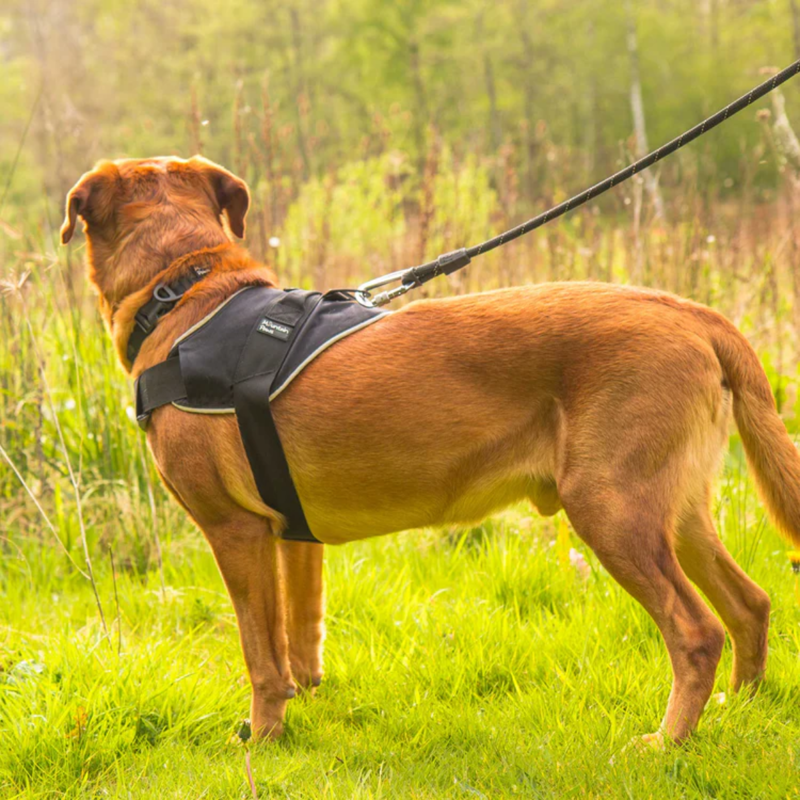 Mountain Paws Extra Tough Dog Harness - Black-5