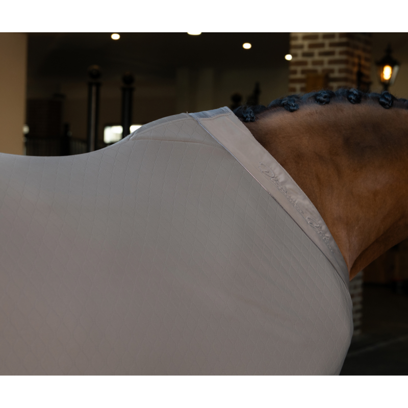 Eskadron Aerial Jersey Sweat Rug Platinum SS25 - Smokey Taupe-1