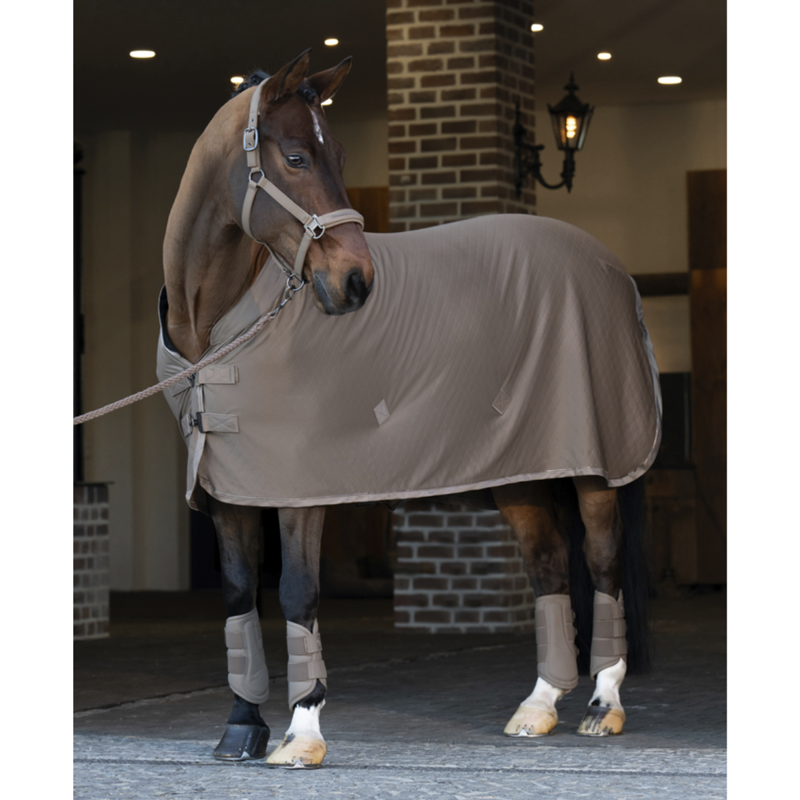 Eskadron Aerial Jersey Sweat Rug Platinum SS25 - Smokey Taupe-2
