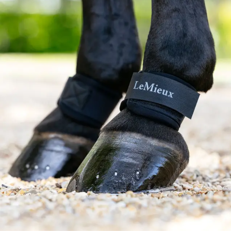 LeMieux Neoprene Pastern Wrap - Black-1