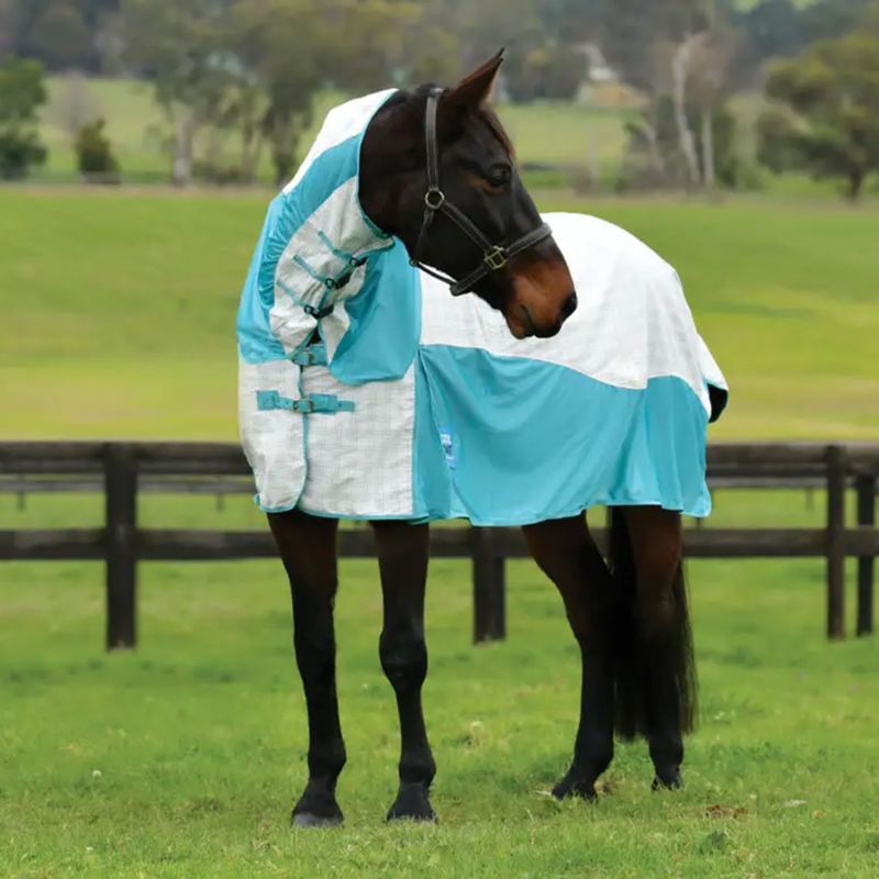 WeatherBeeta Cotton Airstream II Detach-A-Neck Fly Rug - White/Mint-1