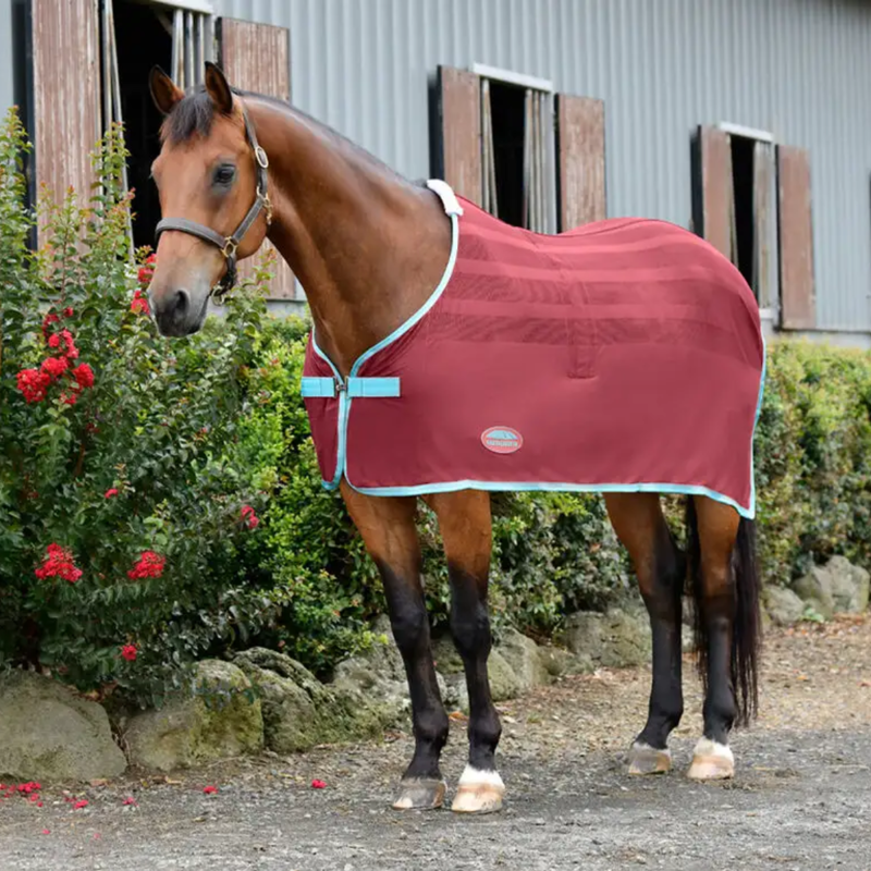 WeatherBeeta Scrim Cooler Standard Neck Rug - Red/Blue/Beige