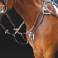 Shires Salisbury Five Point Breastplate - Australian Nut