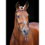 Shires Salisbury Brackley Bridle - Australian Nut